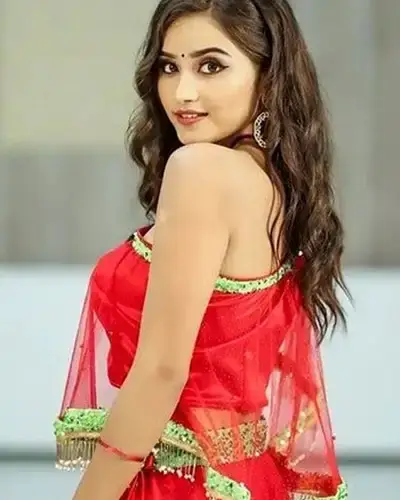 Call Girls Service Palsana